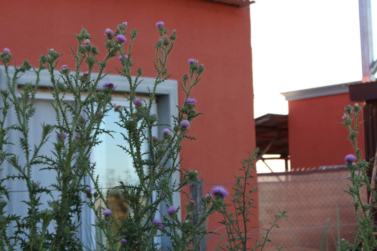 Villa La Narcisa Pehuajó Esterno foto