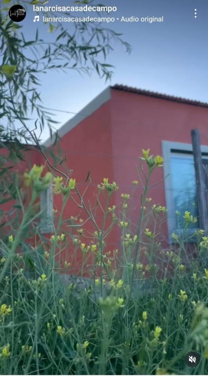 Villa La Narcisa Pehuajó Esterno foto