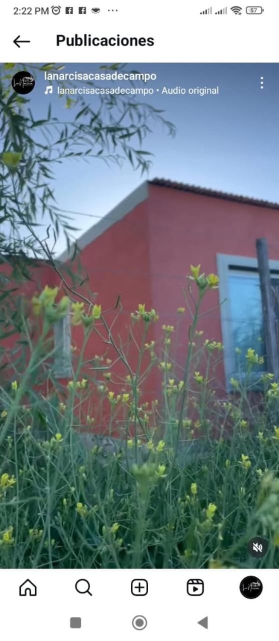 Villa La Narcisa Pehuajó Esterno foto